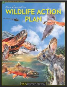 Screenshot of the New Hampshire Fish and Game Wildlife Action Plan report
