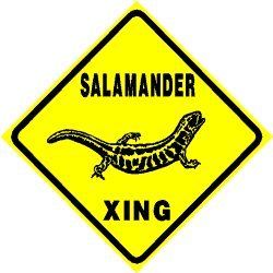 Salamander crossing road sign